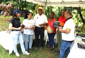 FODEARTE REALIZA ENTREGA DE HERRAMIENTAS A LA ARTESANA ELISA MARÍA REYES